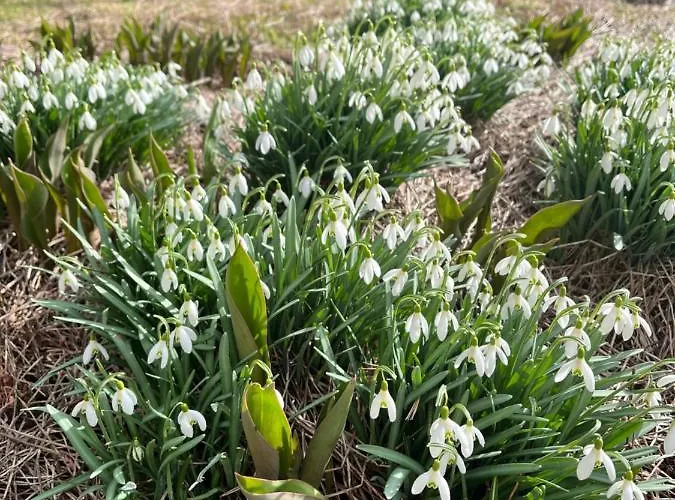 Compact In アパート *