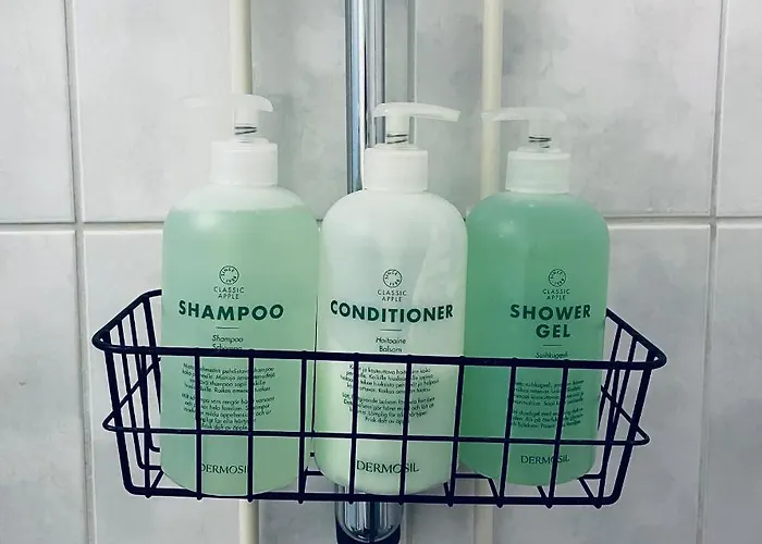 Compact In アパート ラウマ